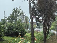 -神仙树公园
