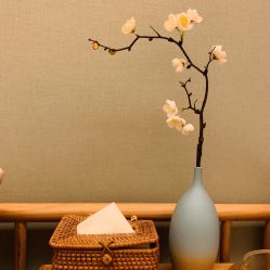 -梵隐SPA