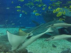 -福州罗源湾海洋世界旅游区