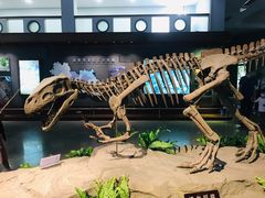 -自贡恐龙博物馆