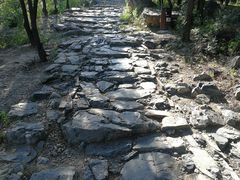 -阳台山自然风景区