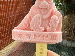 -成都动物园