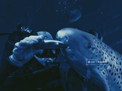 -重庆欢乐海底世界