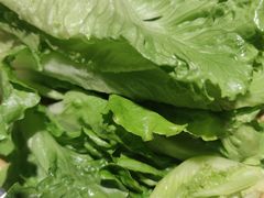 -福宝漠北·牛羊肉(广埠屯店)
