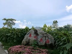 -广州市流溪河国家森林公园