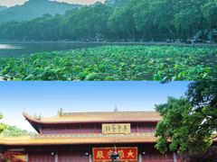 -西溪国家湿地公园