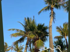 -观澜湖生态运动公社
