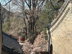 -潭柘寺景区