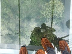 -木兰云雾山