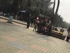 -祥源·阜阳生态乐园