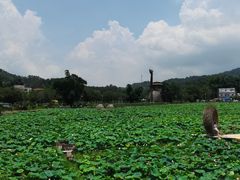 -红山村