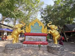 -西双版纳傣族园