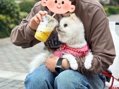 -Bamboo Today Cafe(国创园店)