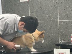 -宠物家(大兴旧宫店)