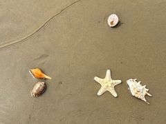 -青岛第一海水浴场