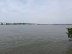 -宝安西湾红树林湿地公园