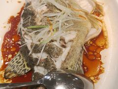 -峨嵋酒家总店(车公庄店)
