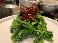 龙须菜-泓0871臻选云南菜·味庄