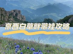 -白草畔自然风景区