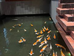 -顺丰国宴(工业博物馆店)