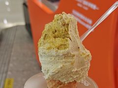 -野人先生现做冰淇淋(北京王府井东方新天地店)