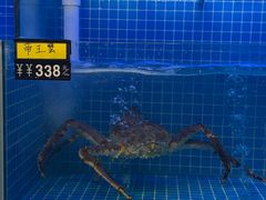 -将军烧鹅海鲜酒楼