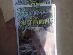 -秦皇岛野生动物园