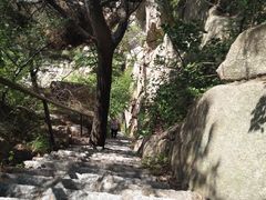 -沂蒙山旅游区云蒙景区(蒙山国家森林公园)