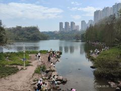 -重庆彩云湖湿地公园