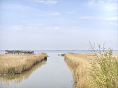 -哈素海