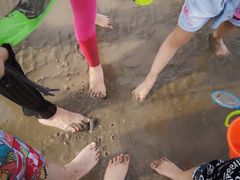 -南汇嘴观海公园