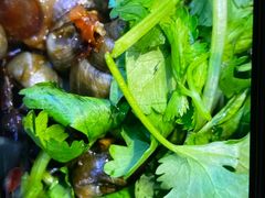 -杨氏青龙虾·羊蝎子(托乐嘉店)