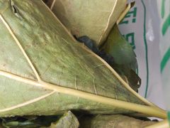 -叶婆婆豆浆馍馍