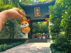 -虎跑公园