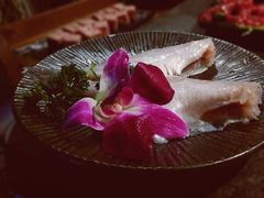 泰国耗儿鱼-渝涯重庆豆花老火锅(中赢国际店)
