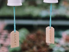 -三圣花乡旅游区