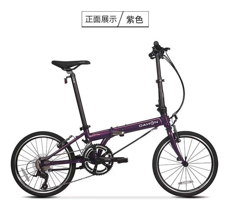 贺西湖娱乐城- 西湖娱乐城官网- 西湖娱乐城APP州交警