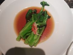 -觀芷隐轩