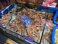 -开海·红岛海鲜虾水饺(石老人店)