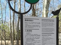 -北京麋鹿生态实验中心