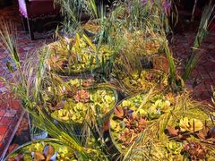 -荷兰布尔玛国际花艺学院