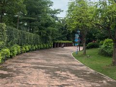 -美的鹭湖探索王国