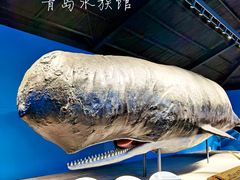 -青岛海底世界-水族馆
