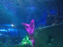 -嘉兴海底世界