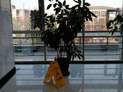 -北京市中关村医院