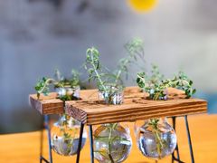 -ZING COFFEE 镜咖啡