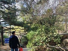 -玲珑塔公园