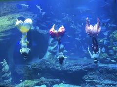 -多彩贵州城极地海洋世界