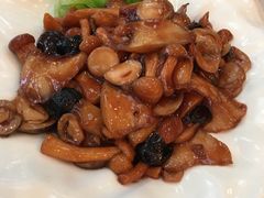 黑蒜烧珍菌-玉林烤鸭店(定福庄店)