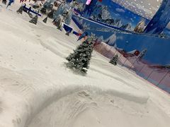 -长沙湘江冰雪世界